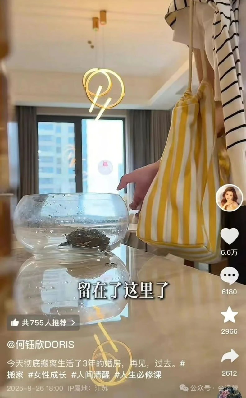 （一）千万网红猴哥说车疑似离婚！曾经被人羡慕的网红夫妻为啥闹到这样的结果？ - 图片