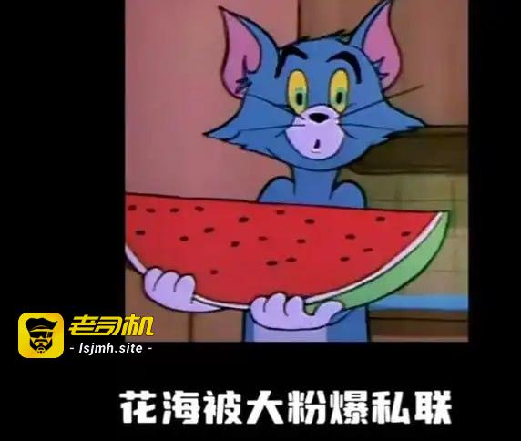 花海公开聊天记录，电竞选手遭粉丝“追杀式自证”15万退款难安宁 - 图片