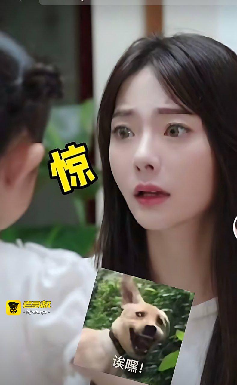 抖音百万粉网红 陈嘉惟 出轨正妻闺蜜 潼潼妹妹 原配曝光千字笔记出轨细节 - 图片