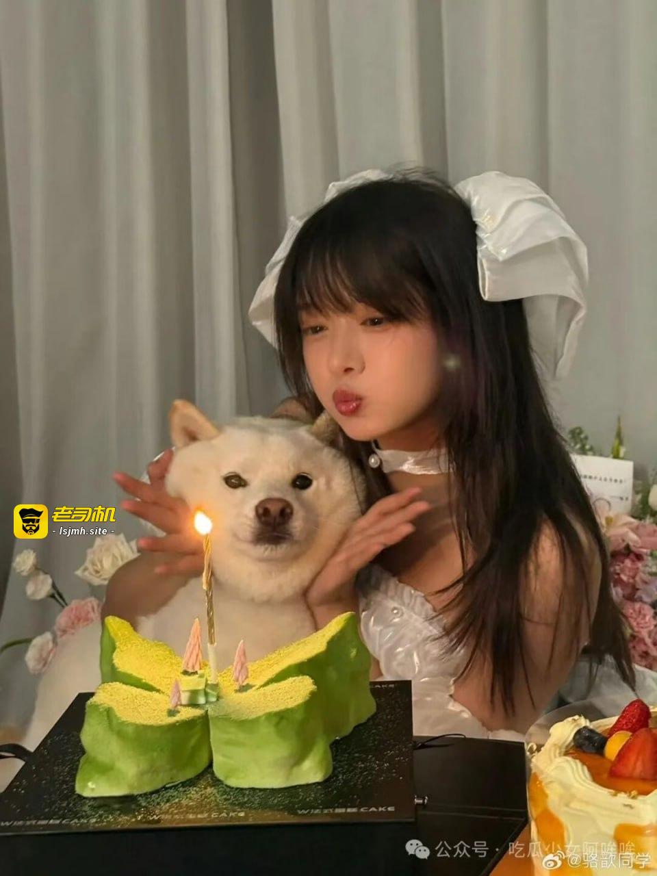 LPL女主持骆歆为提高在线人数，戴假体跳舞，周淑怡二台树奈奈都看呆了，称其太敬业了~ - 图片