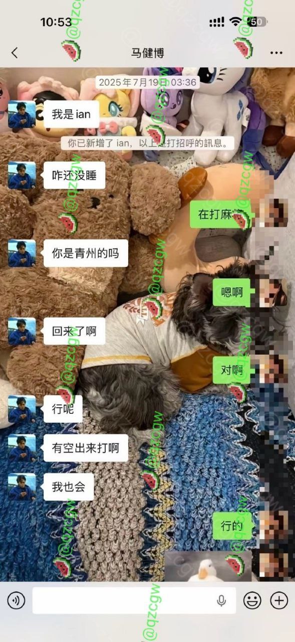 抖音246万粉男网红地蛋（真名马健博）人设彻底崩了！ - 图片