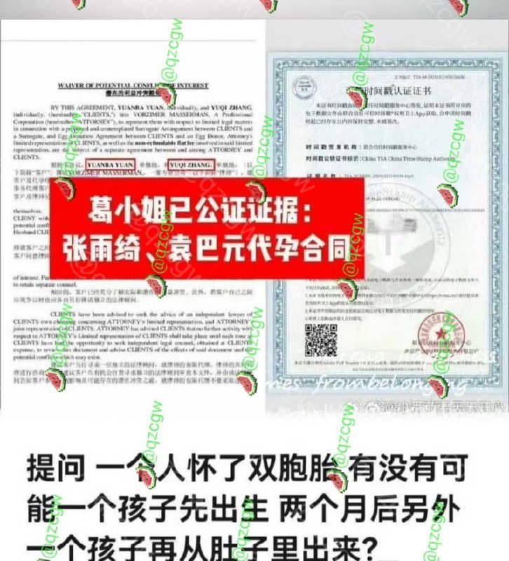 葛晓倩杀疯了 曝光张雨绮代孕瓜再添实锤？！ - 图片