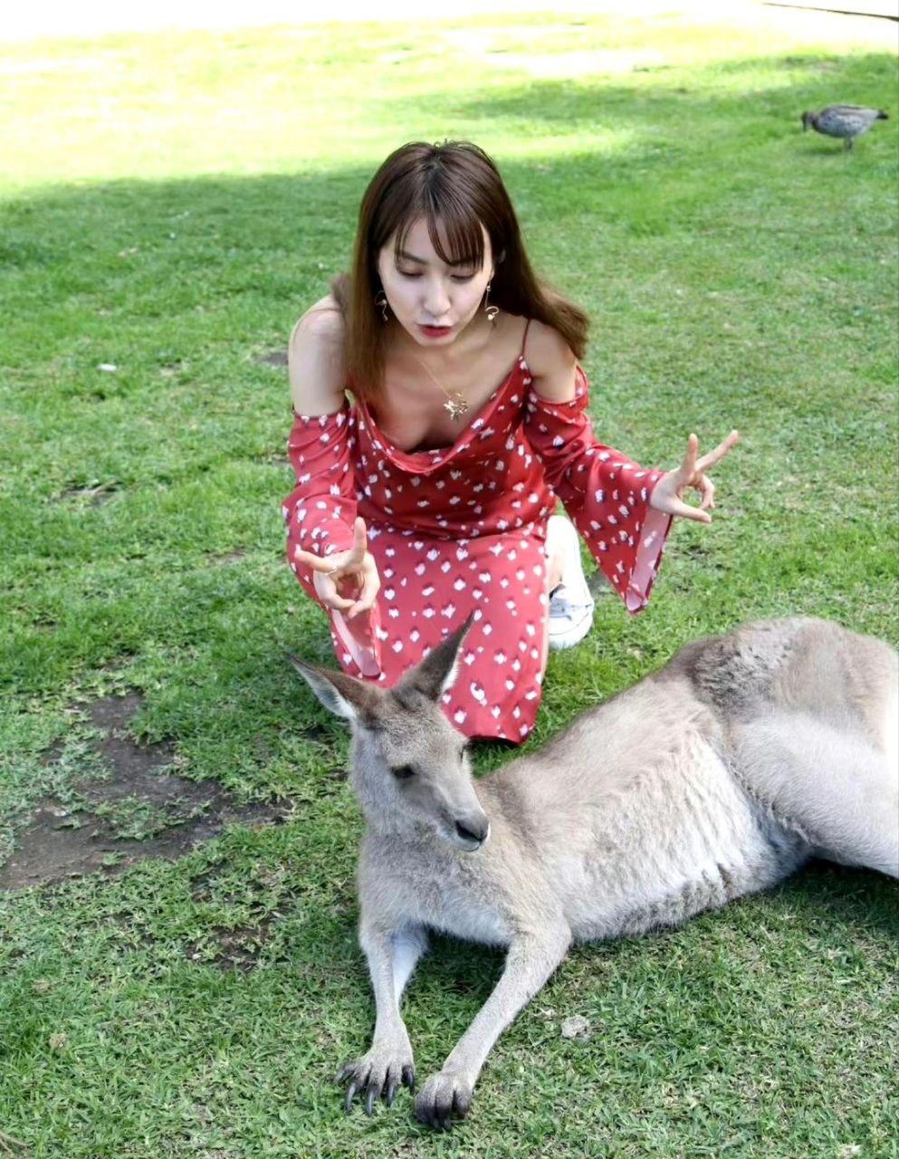 湖南卫视主持人 #吴昕 露点写真 - 图片