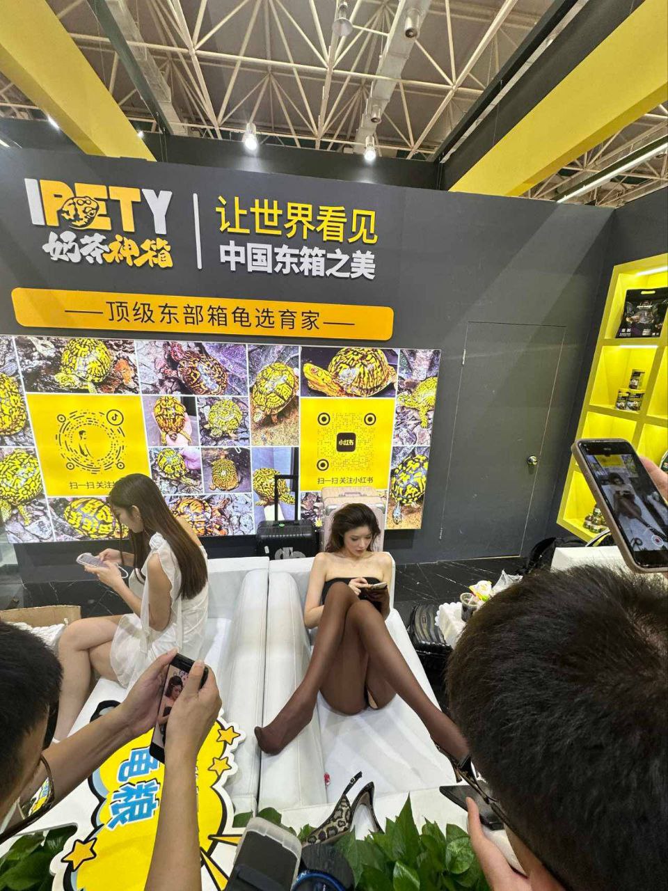 顺德陈村龟展女网红“擦边”风波 - 图片