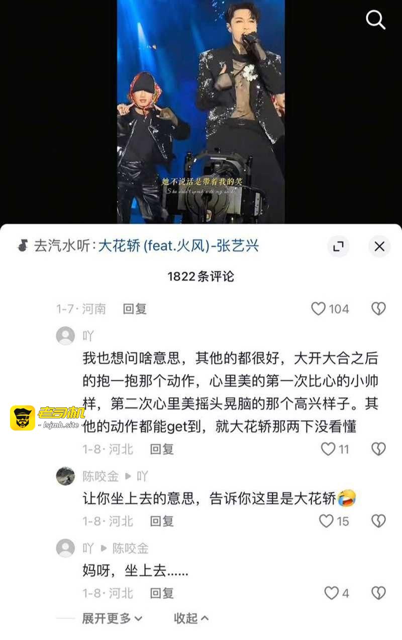 张艺兴魔改大花轿全网爆火 女生看完集体喊妇道守不住要嫁兴兴！ - 图片