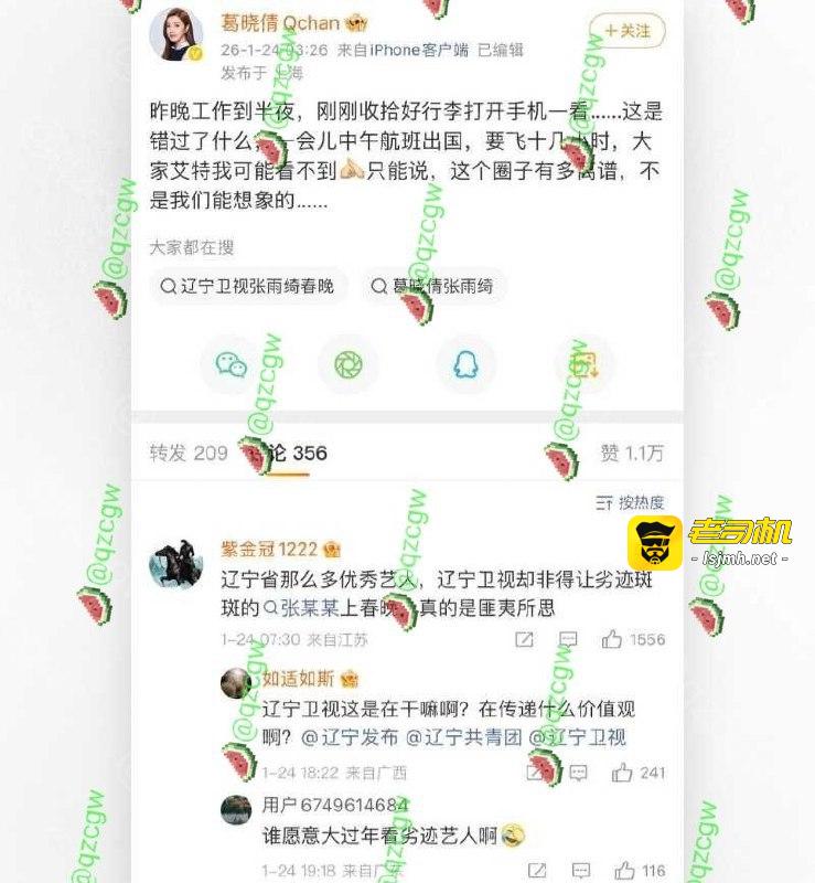 葛晓倩杀疯了 曝光张雨绮代孕瓜再添实锤？！ - 图片