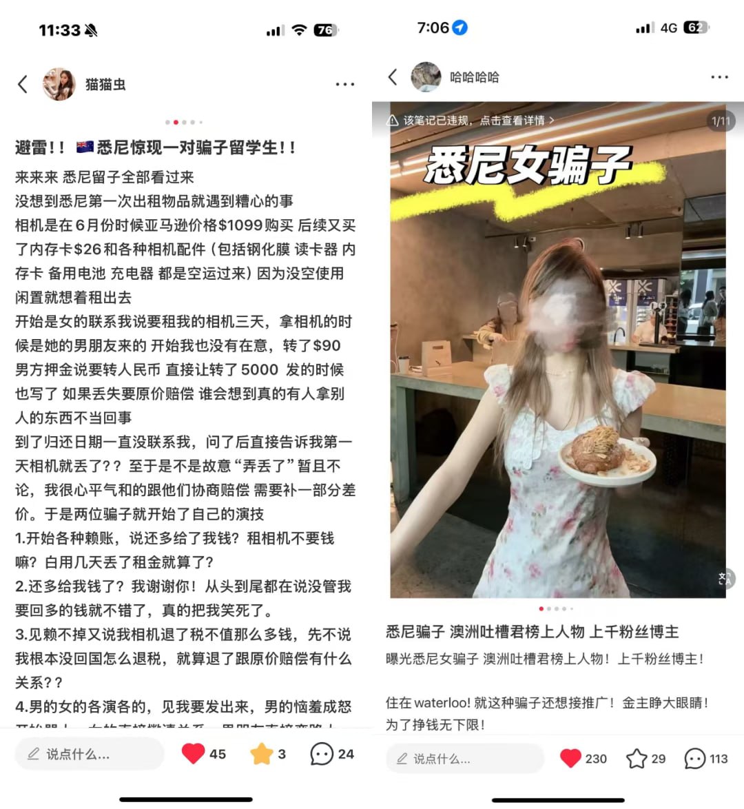 （一）什么臭要饭的都往澳洲跑！网红女偷相机被挂不知悔改，靠男人供养不够，还出来立人设诈骗 - 图片