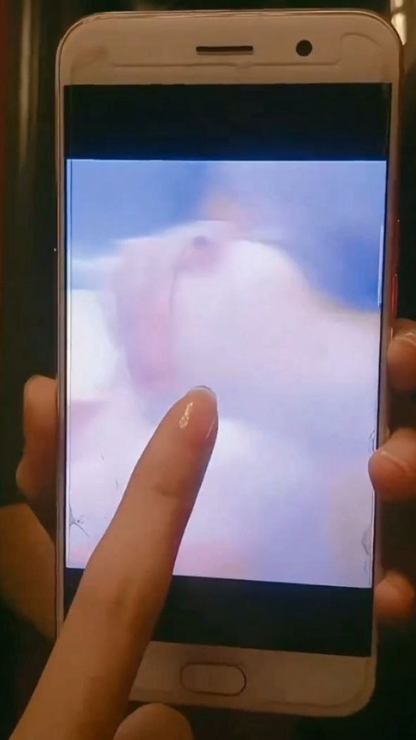 前央视女主持人 #马卉 。真空主持节目及直播 - 图片