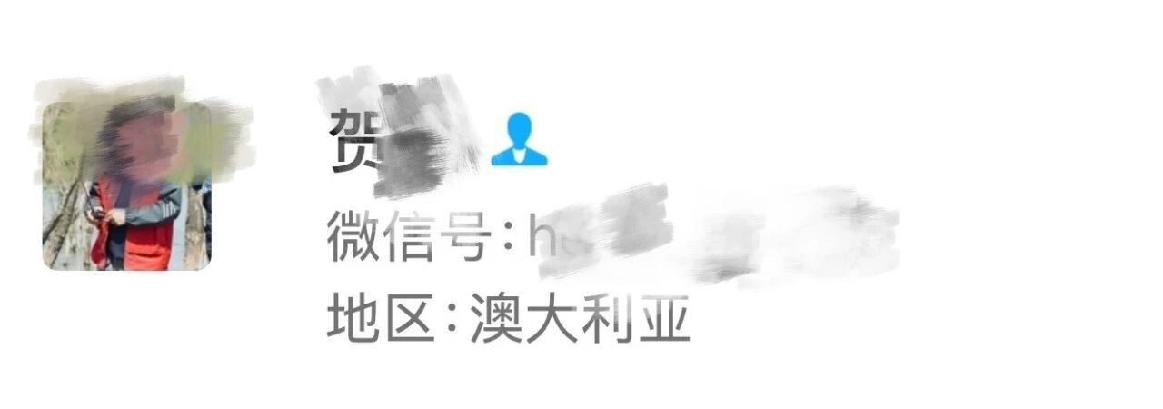 悉尼网红卖二手车，传统骗术三件套无损流传海外：爆改公里数、串串车、车不对版 - 图片