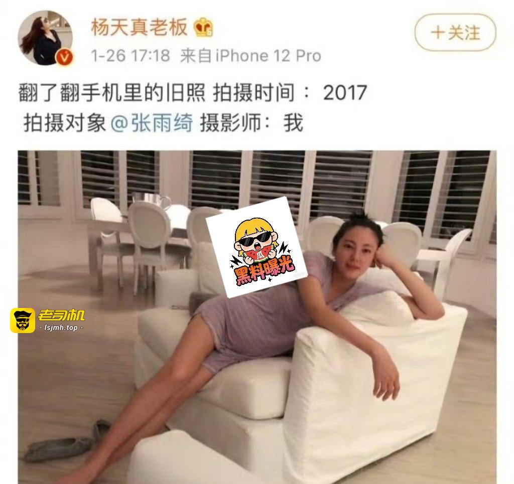 实锤叠buff！张雨绮被曝代孕+插足婚姻，龙凤胎差3个月出生，春晚紧急除名 - 图片