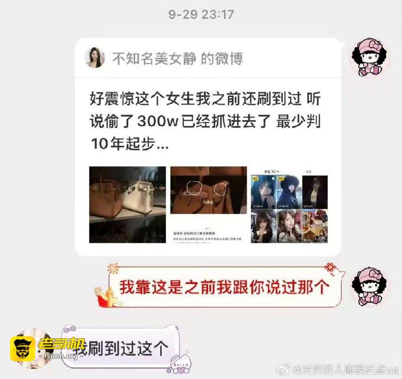 抖音网红“小鱼丸子”偷闺蜜600万奢侈品被抓！温柔人设崩塌，多位受害者控诉“狸猫换太子” - 图片