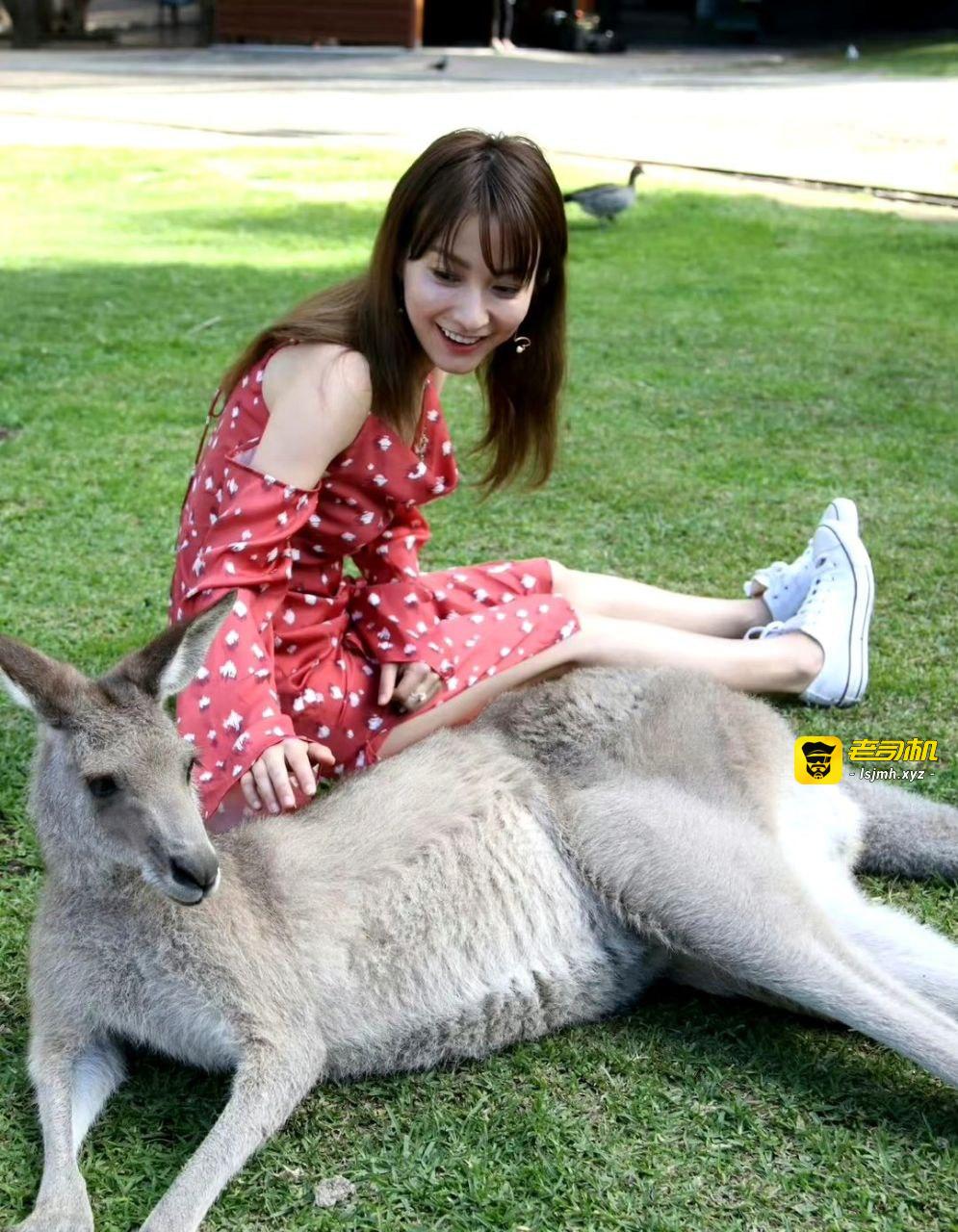 湖南卫视主持人 #吴昕 露点写真 - 图片