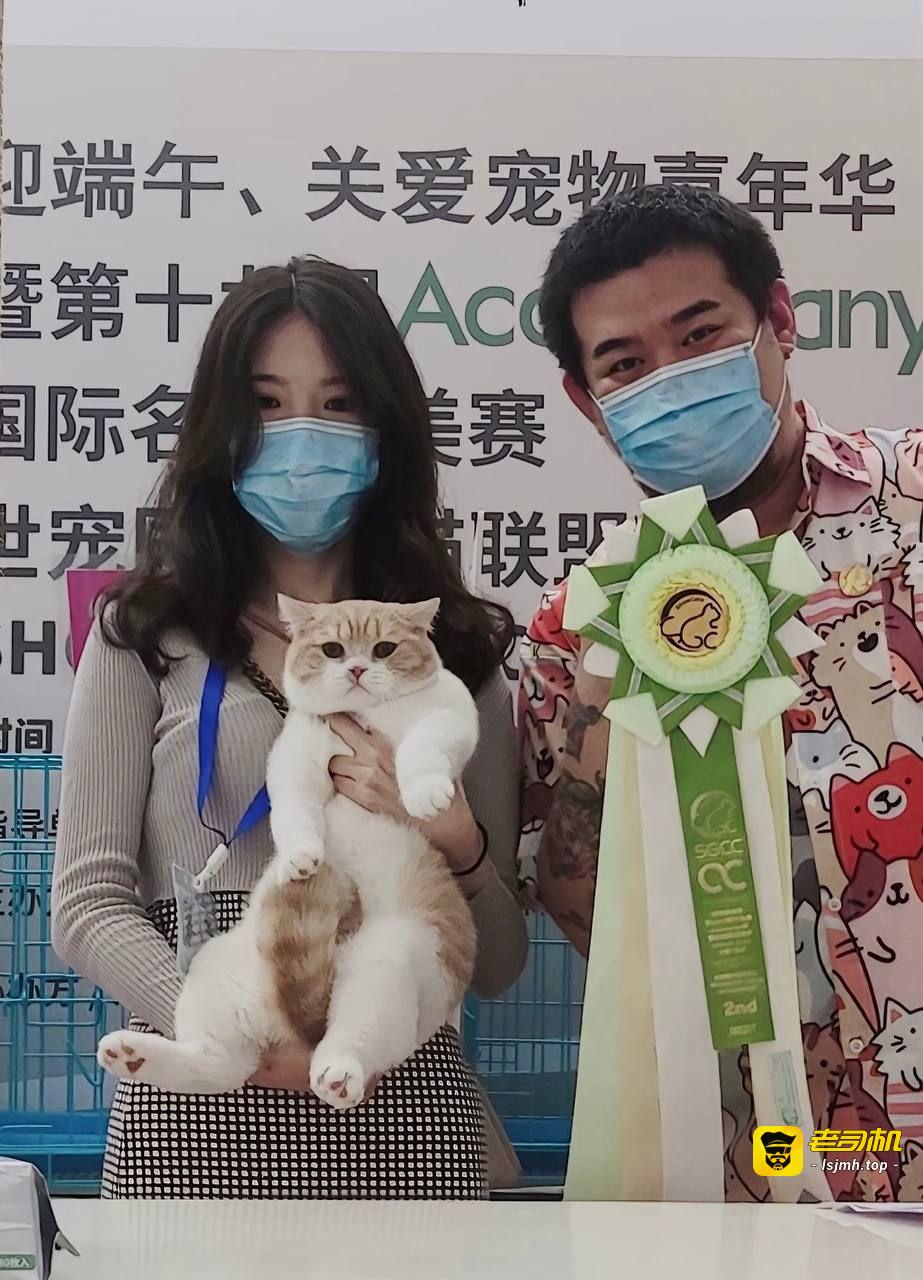 童锦程私生子大瓜后续！复旦高材生妈妈 开直播与粉丝互动聊天 火辣颜值和身材吸粉无数！ - 图片