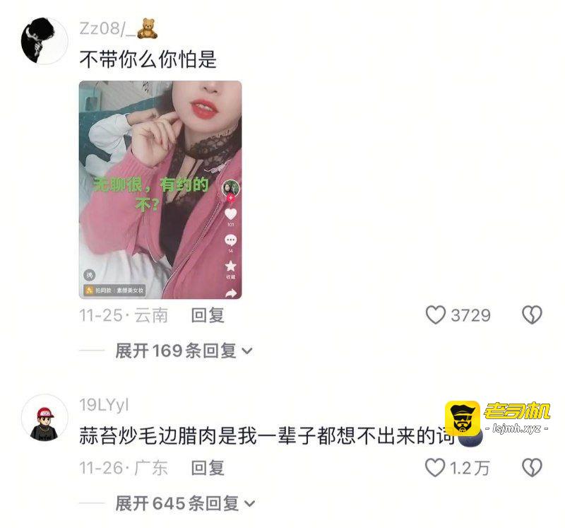 抖音热梗击穿卡嫂真实婚姻 一不会开车二不会找货 干嘛带我 揭秘长途夫妻的血泪与情感困局 - 图片
