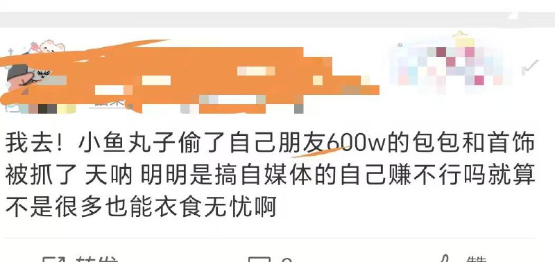 抖音网红“小鱼丸子”偷闺蜜600万奢侈品被抓！温柔人设崩塌，多位受害者控诉“狸猫换太子” - 图片