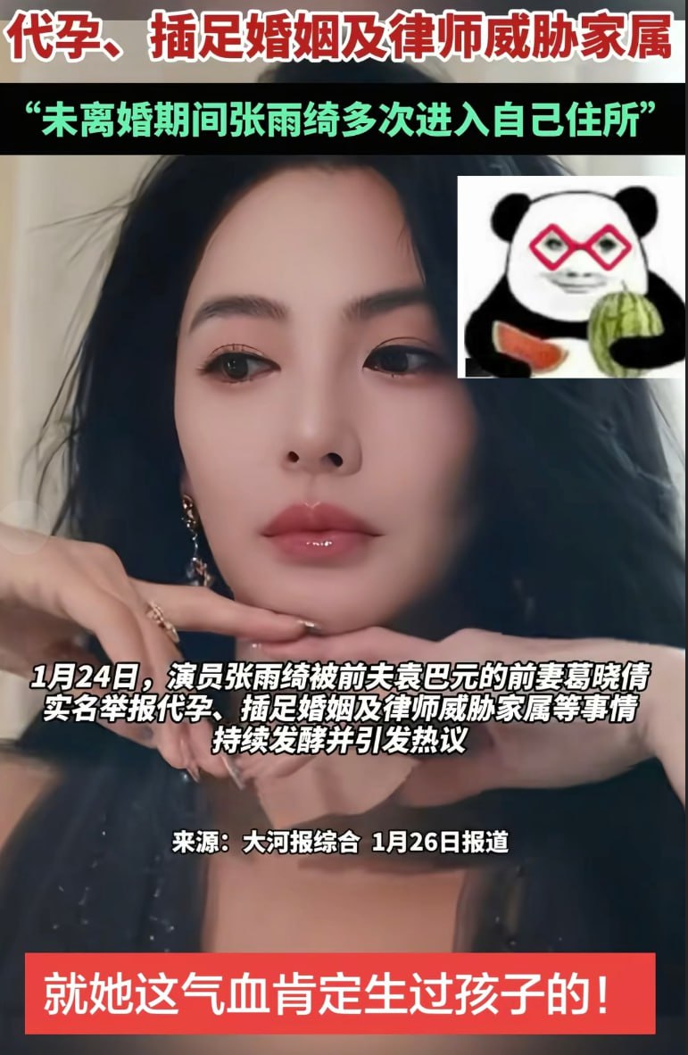 实锤叠buff！张雨绮被曝代孕+插足婚姻，龙凤胎差3个月出生，春晚紧急除名 - 图片