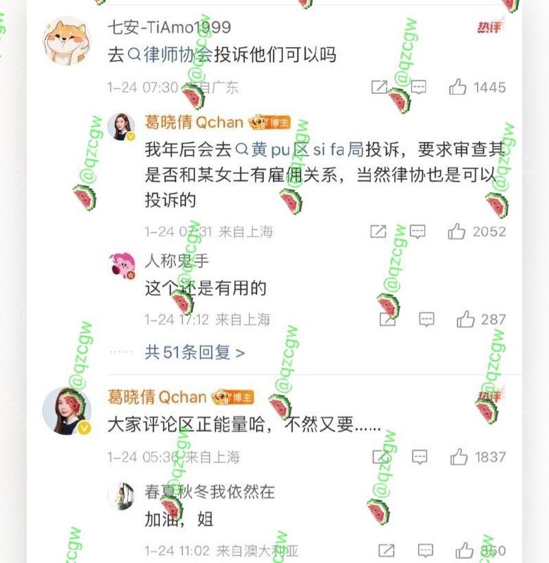 葛晓倩杀疯了 曝光张雨绮代孕瓜再添实锤？！ - 图片