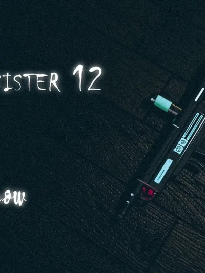 [YTsnow] Little Sister 12漫画封面