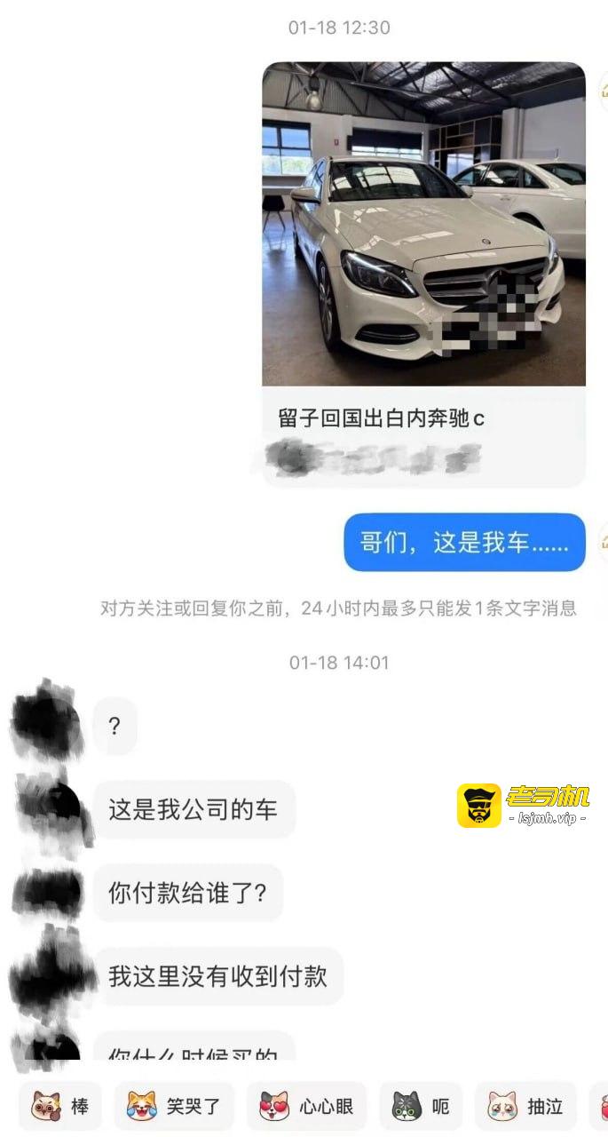 悉尼网红卖二手车，传统骗术三件套无损流传海外：爆改公里数、串串车、车不对版 - 图片