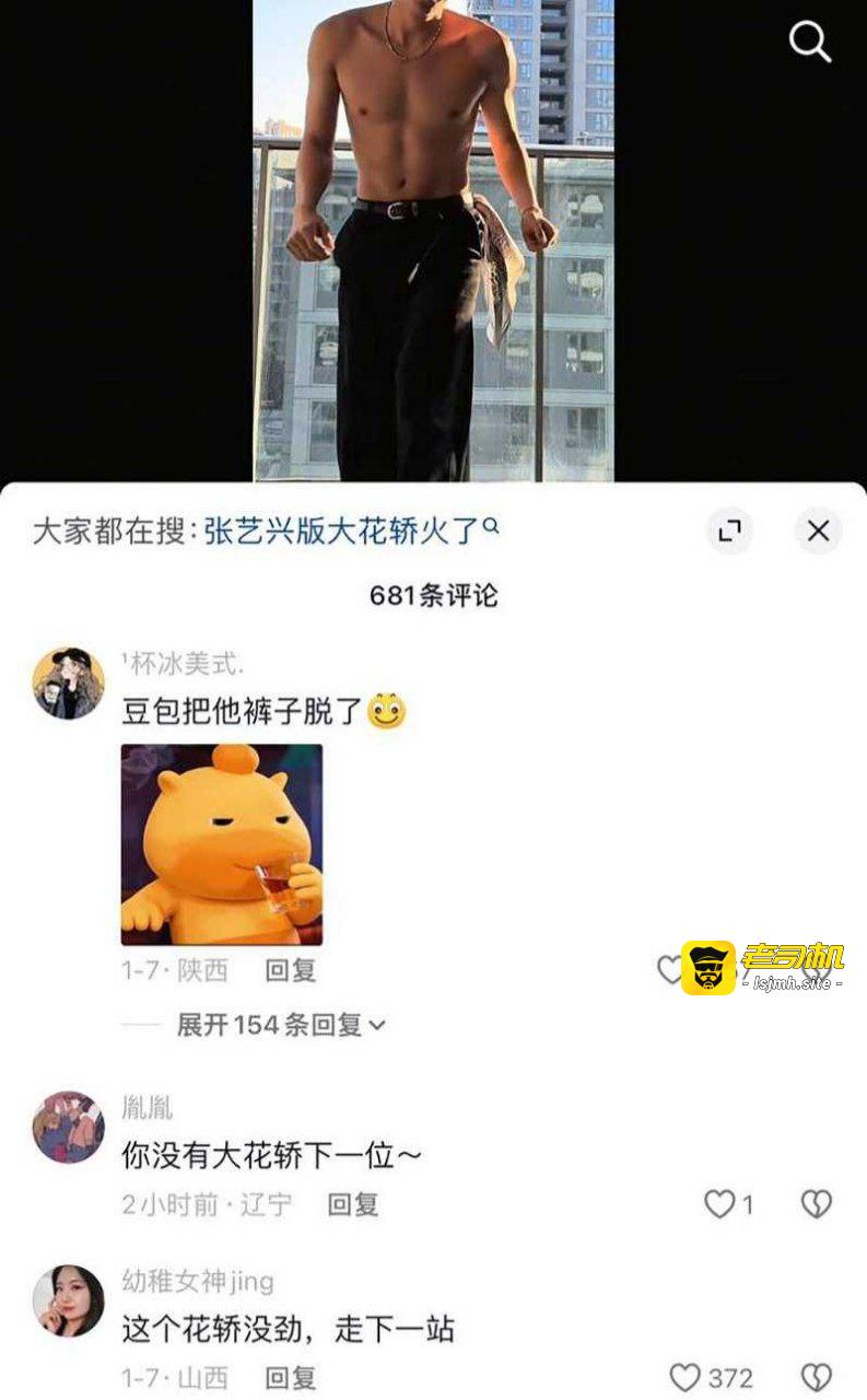 张艺兴魔改大花轿全网爆火 女生看完集体喊妇道守不住要嫁兴兴！ - 图片