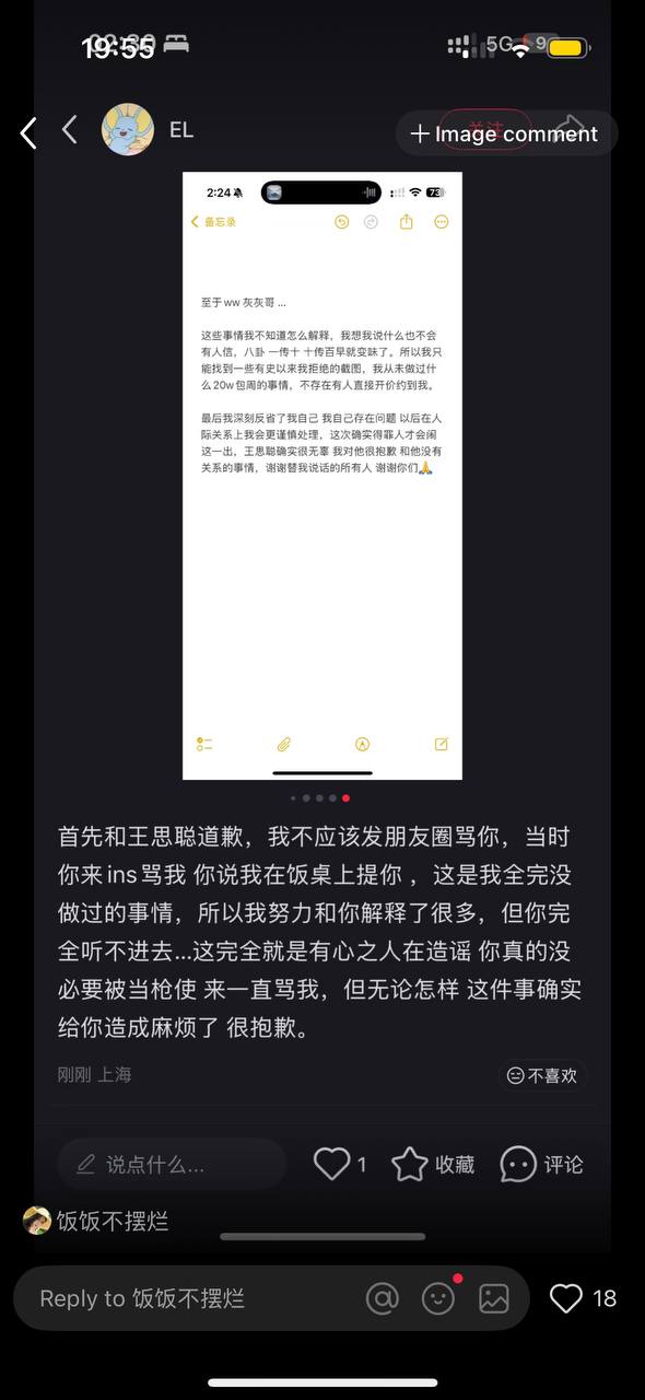 一个🐔当婊子还立牌坊？出来卖还要拿着思聪哥的名头装逼 - 图片