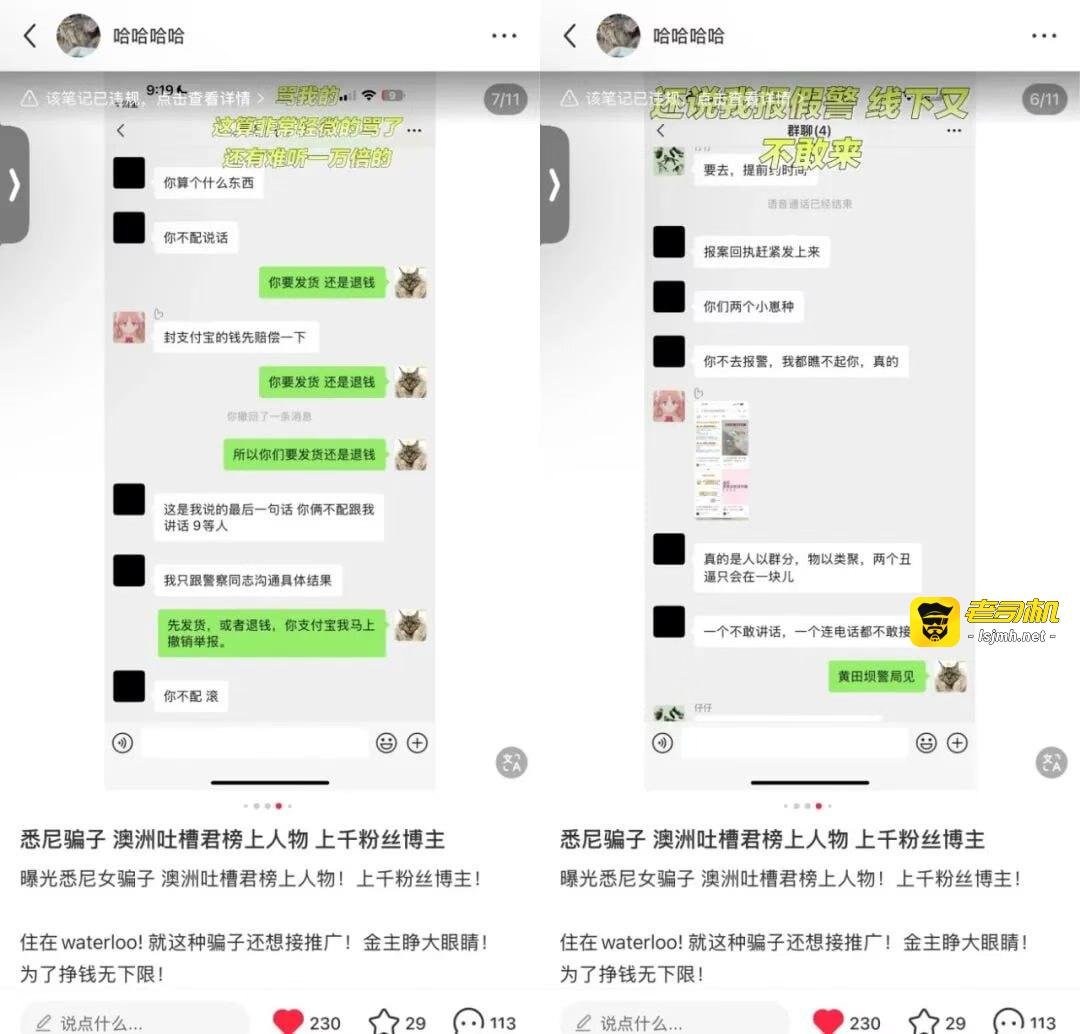 （一）什么臭要饭的都往澳洲跑！网红女偷相机被挂不知悔改，靠男人供养不够，还出来立人设诈骗 - 图片