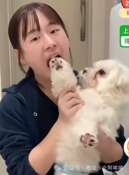 百万网红树莓纯爱人设翻车，疑似成年就跟男友同居？一条视频20万却不给狗看病弃养？ - 图片