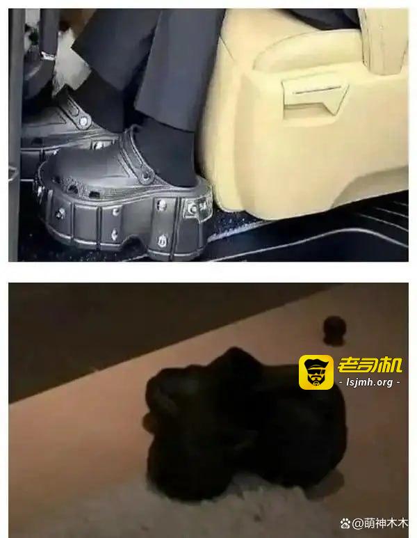 刘一诺承认跟檀健次恋爱过！称被司晓迪刺激才公开，檀健次刚否认 - 图片
