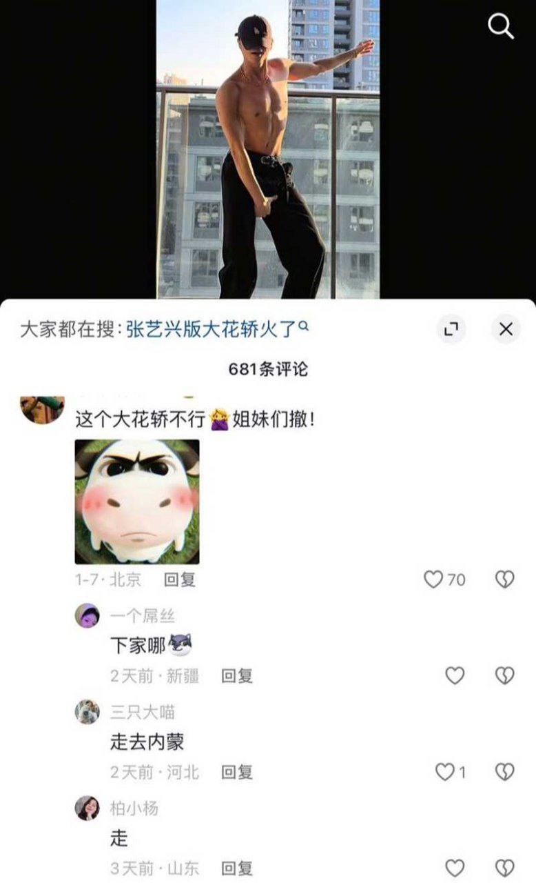 张艺兴魔改大花轿全网爆火 女生看完集体喊妇道守不住要嫁兴兴！ - 图片