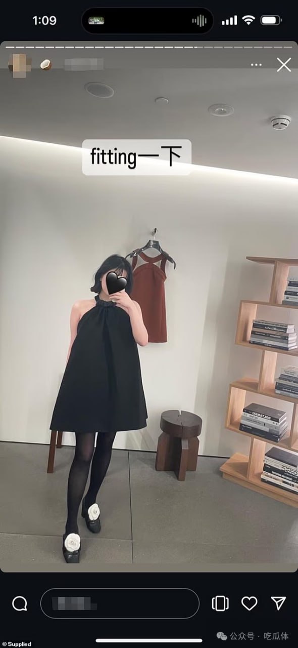 （一）杨小姐与柴犬“旺仔”在悉尼的奢华生活 - 图片