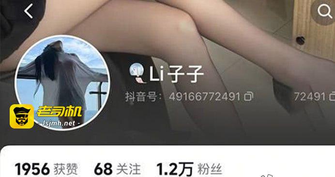抖音Li子子双视角 漏奶视频 一对酥胸直挺挺的看起来就很优秀 - 图片