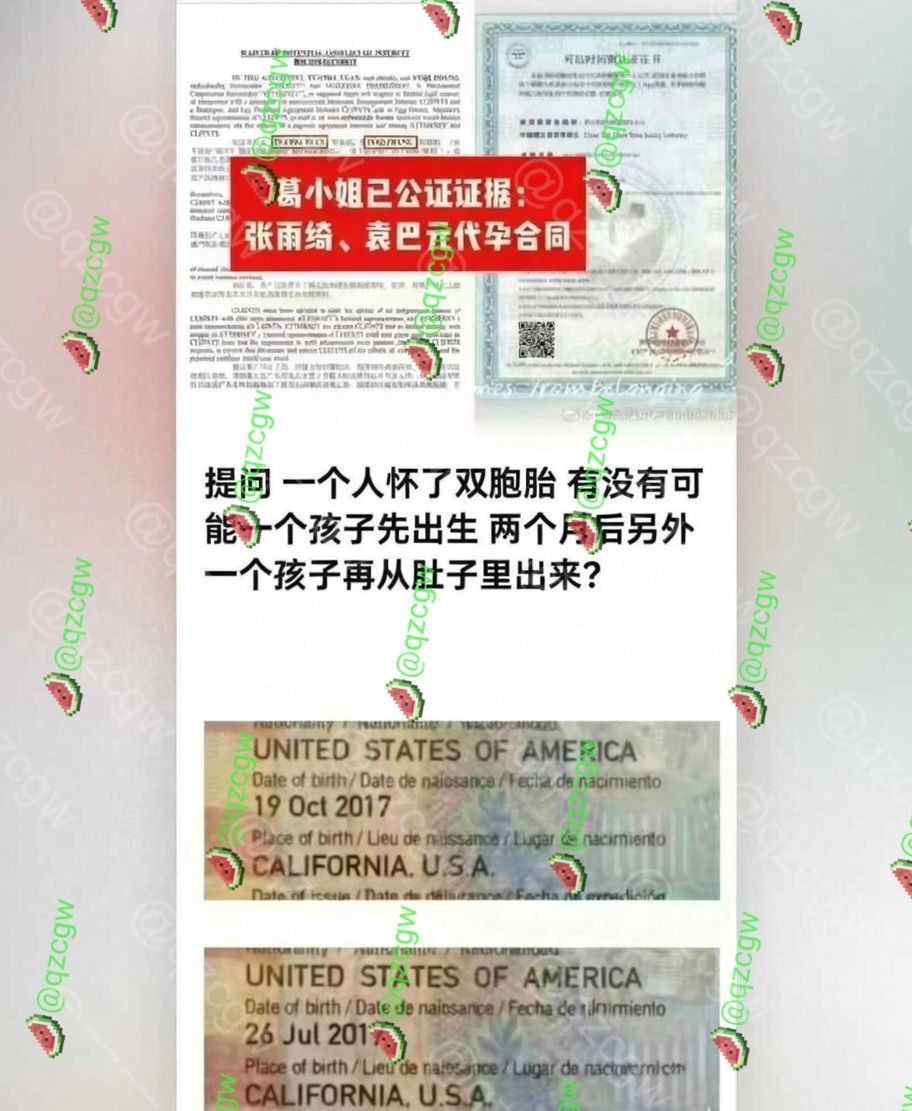 葛晓倩杀疯了 曝光张雨绮代孕瓜再添实锤？！ - 图片