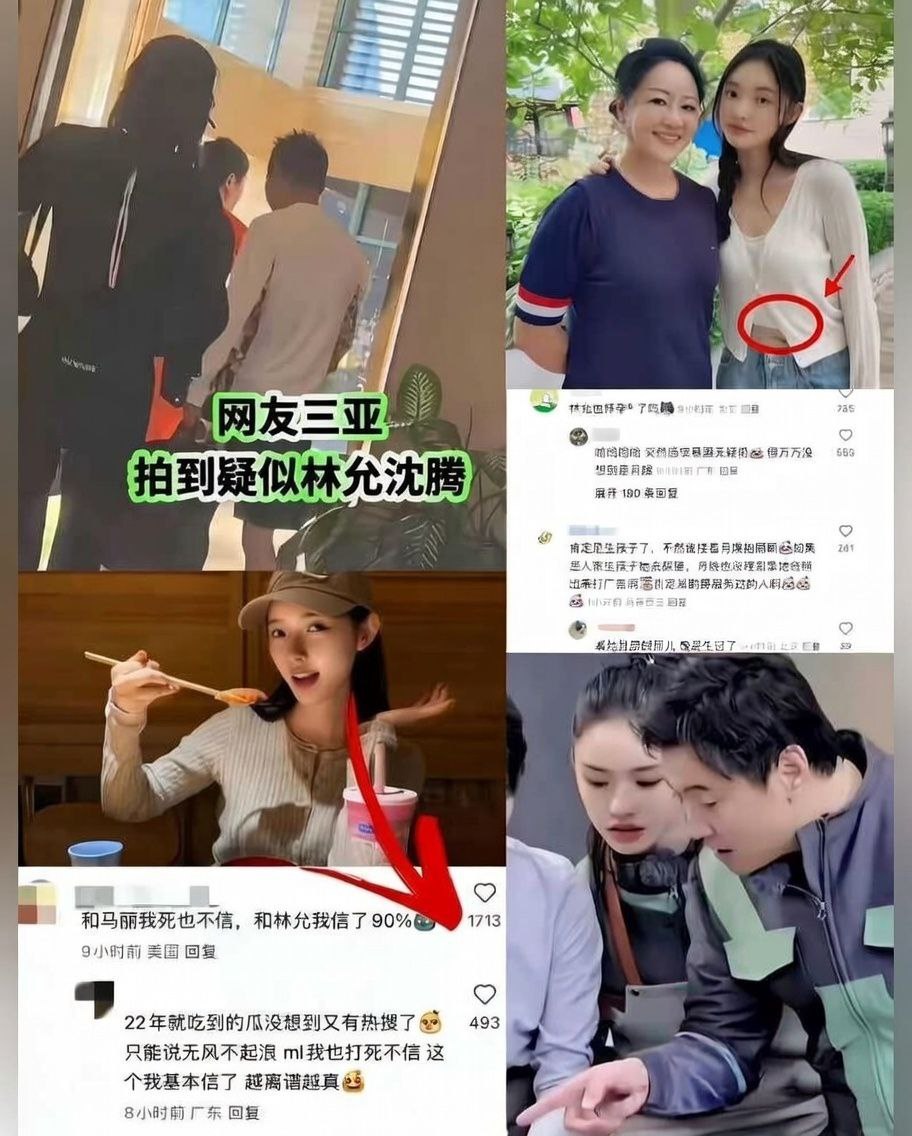 沈腾林允酒店幽会旧瓜成真林允站姐跑路销号 沈腾的好男人人设还能保住吗 私生子传闻再添铁证！ - 图片