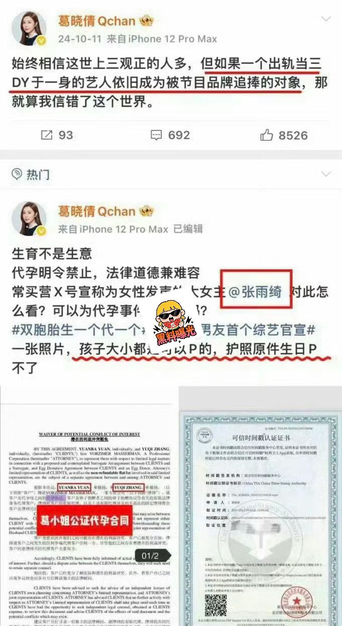 实锤叠buff！张雨绮被曝代孕+插足婚姻，龙凤胎差3个月出生，春晚紧急除名 - 图片