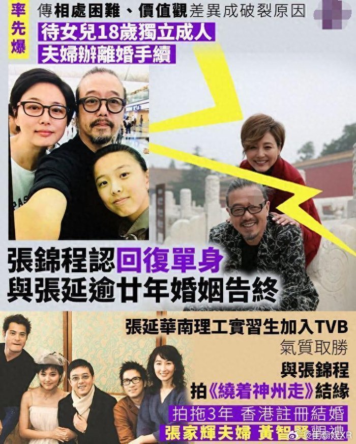 56岁张延20年婚姻告终！前夫受访承认单身，港媒曝离婚核心原因