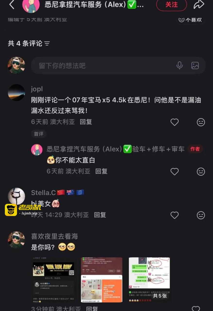 悉尼网红卖二手车，传统骗术三件套无损流传海外：爆改公里数、串串车、车不对版 - 图片