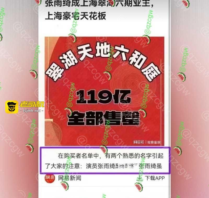 葛晓倩杀疯了 曝光张雨绮代孕瓜再添实锤？！ - 图片