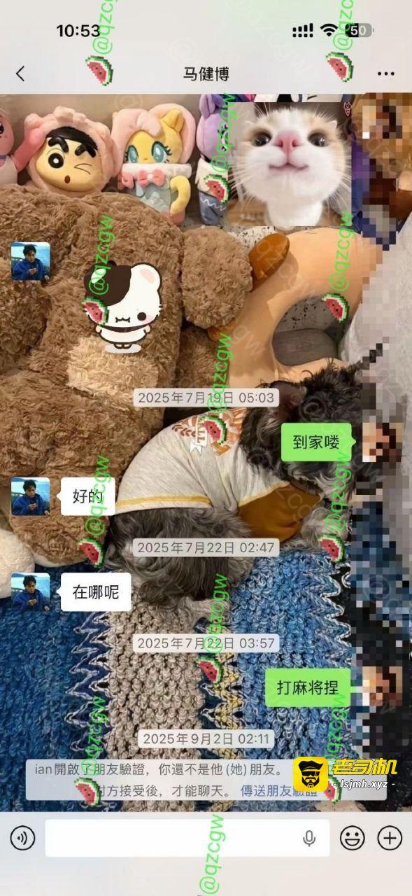抖音246万粉男网红地蛋（真名马健博）人设彻底崩了！ - 图片